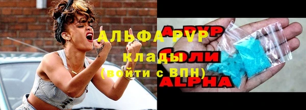 гашик Сясьстрой