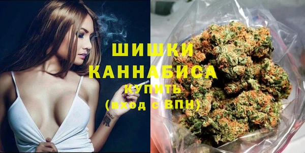СК Тайга