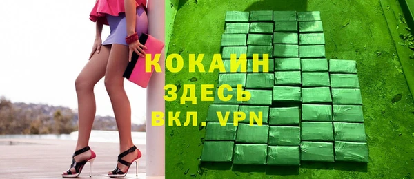 гашик Сясьстрой