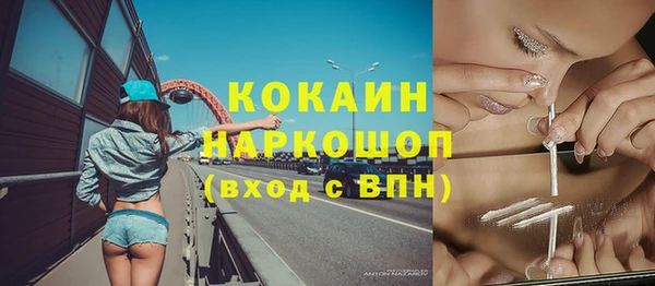СК Тайга