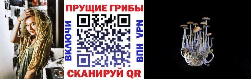 Галлюциногенные грибы Cubensis  это формула  Высоковск 
