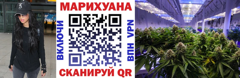 Бошки марихуана MAZAR  маркетплейс состав  omg зеркало  Высоковск  где купить наркоту 